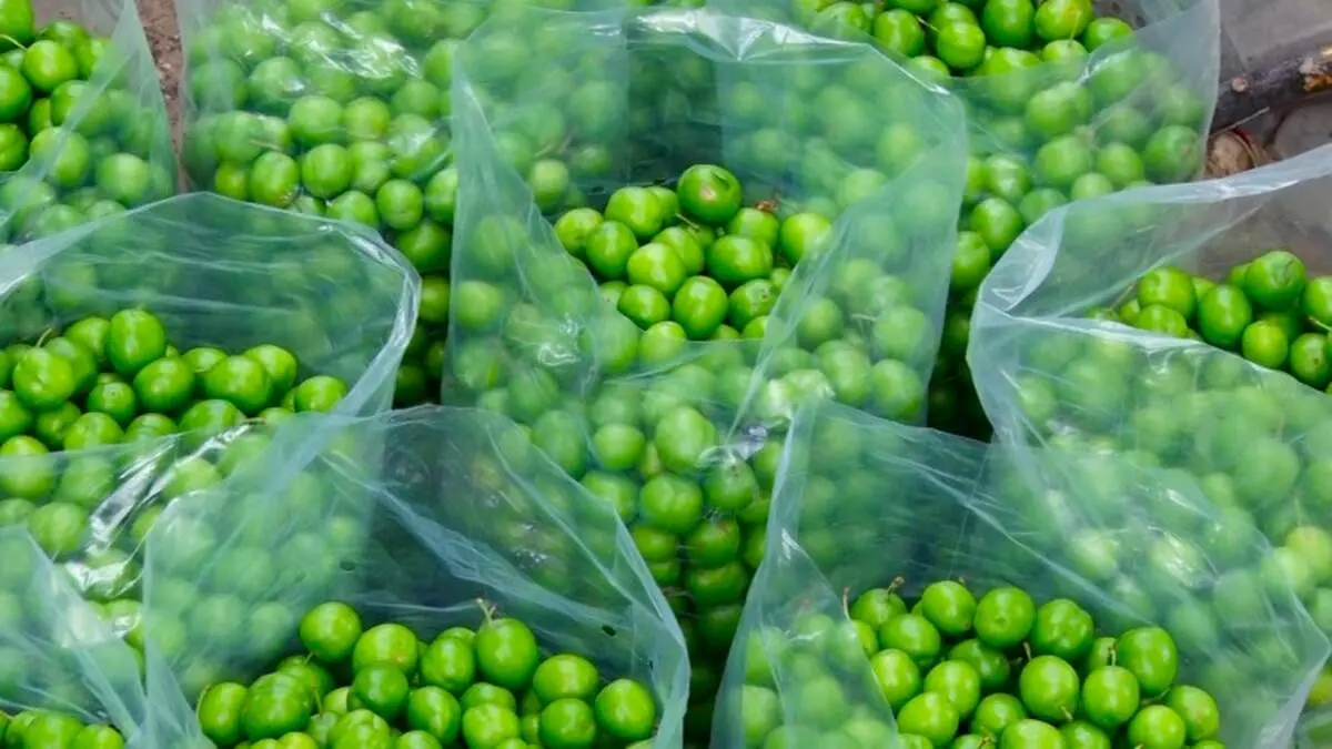 خوردن گوجه سبز برای این افراد ممنوع!
