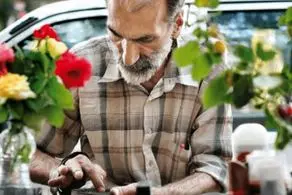 جزئیات و نحوه ثبت‌نام دوره‌های آموزش فنی‌وحرفه‌ای به‌زودی اعلام می‌شود