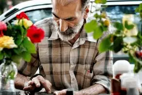 جزئیات و نحوه ثبت‌نام دوره‌های آموزش فنی‌وحرفه‌ای به‌زودی اعلام می‌شود