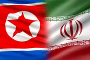 محمدعلی امانی به کره شمالی رفت 