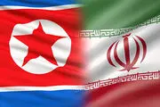 محمدعلی امانی به کره شمالی رفت 