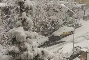 بارش برف و باران در ۱۵ استان