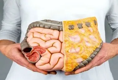 اگر درد معده و زخم‌های گوارشی شما را کلافه کرده این گیاه را استفاده کنید