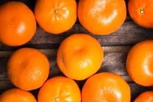 قیمت نجومی نوبرانه‌های پاییز؛ نارنگی کیلویی ۱۳۸ هزار!