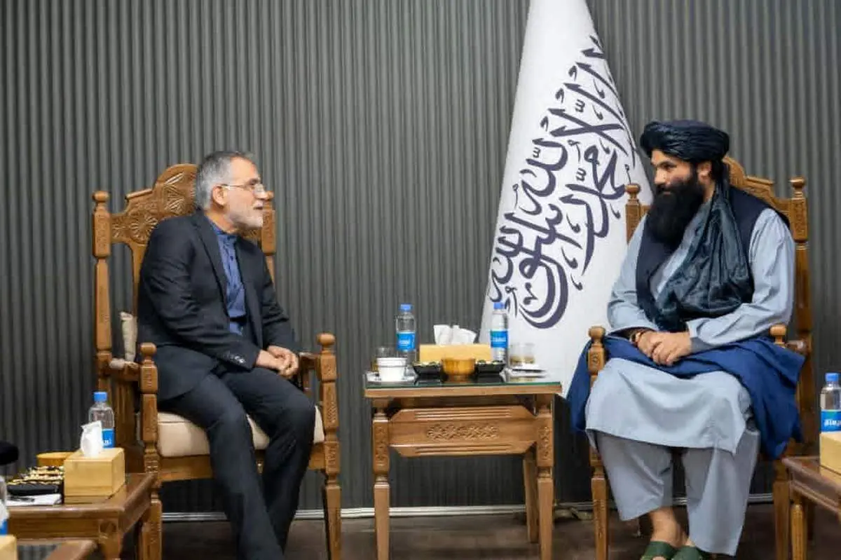 دیدار مدیرکل آسیای جنوبی وزارت امور خارجه با وزیر داخله افغانستان