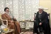 دیدار موسوی خوئینی‌ها با مهدی کروبی 