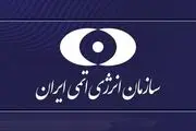سازمان انرژی اتمی: کمالوندی اشتباه لفظی کرد!