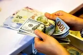 قیمت دلار و یورو در بازار امروز پنجشنبه ۲۳ اسفند ۱۴۰۳/ جدول