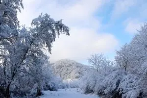هشدار هواشناسی/ سه‌شنبه و چهارشنبه (۸ و ۹ مهر) برف پاییزی در این مناطق