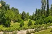 خبر عجیب، حضور زنان در پارک ممنوع شد!