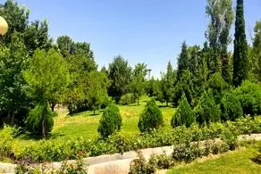 سیل دو پارک تهران را تعطیل کرد