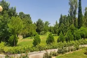 این دختر در پارک های تهران مدام به دنبال شوهر می گشت/ عکس