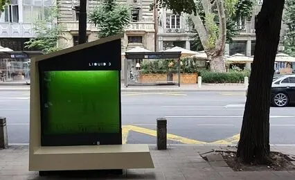 جلبک‌ها می‌توانند در کاهش آلودگی هوا به ما کمک کنند؟