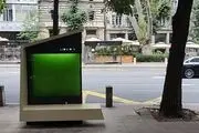 جلبک‌ها می‌توانند در کاهش آلودگی هوا به ما کمک کنند؟