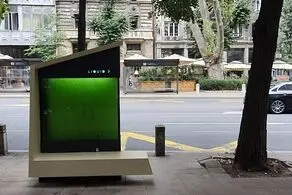 جلبک‌ها می‌توانند در کاهش آلودگی هوا به ما کمک کنند؟