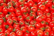 سیب‌زمینی و گوجه‌فرنگی دوباره گران شدند + جدیدترین قیمت در بازار 