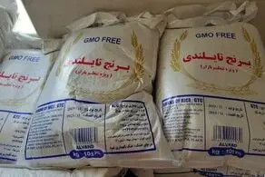 واردات برنج به کجا رسید؟ / قیمت برنج ارزان می شود؟