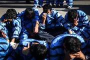 روایت دزدی هاشم و پسرش از ۵۳ موبایل فروشی| سر ۵ دقیقه سرقت تمام می‌شد