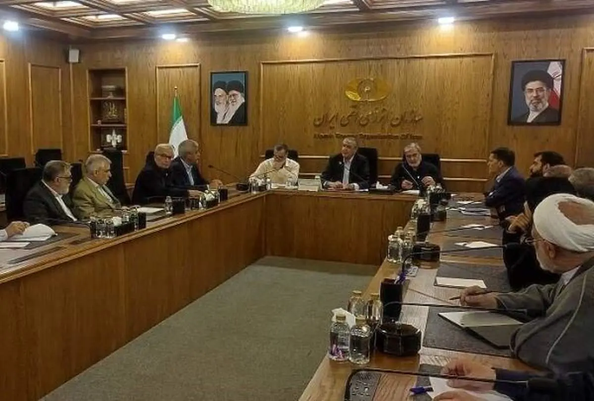 رئیس سازمان انرژی اتمی در کمیسیون امنیت ملی چه گفت؟ 
