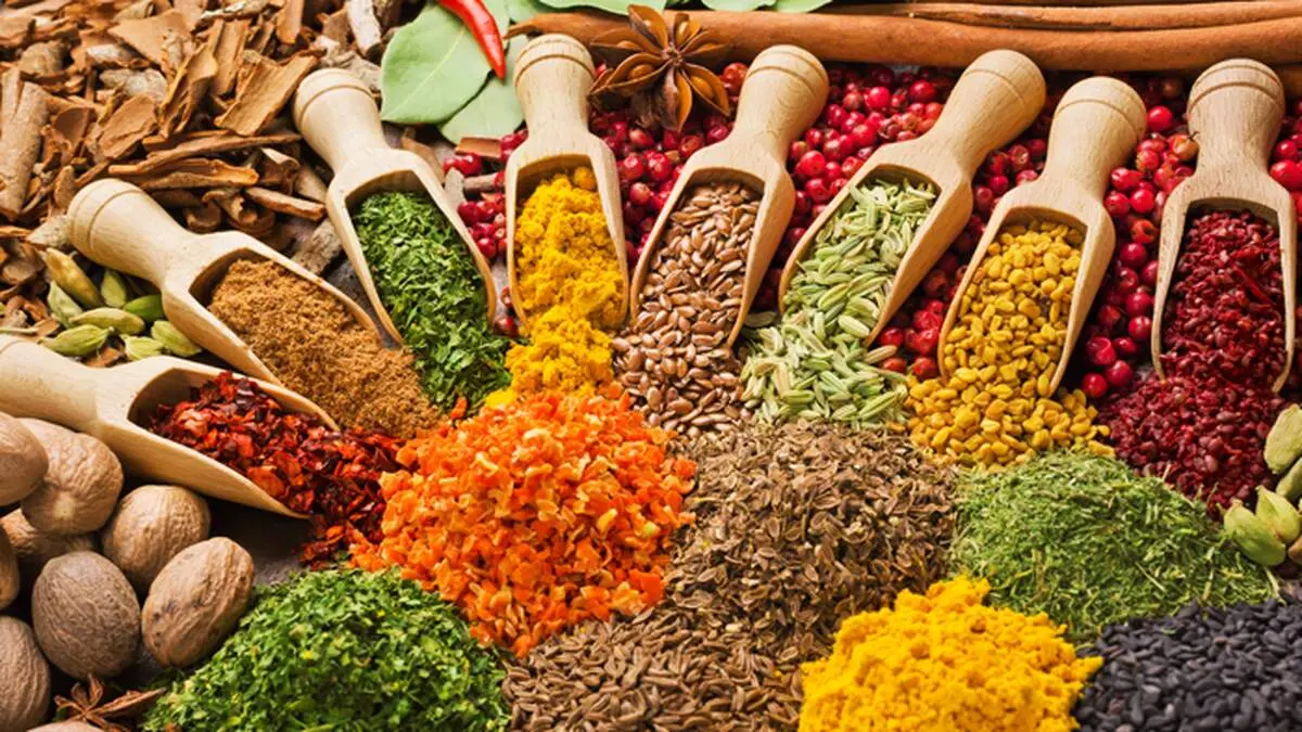 خواص معجزه گر  ادویه‌ها؛ از زردچوبه تا فلفل سیاه