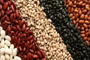 موج گرانی به لوبیا قرمز رسید/ جدول