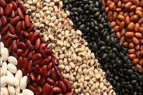 هشدار؛ لوبیا برای این افراد سم است 