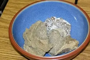 با استفر اغ این حیوان گرانترین عطرهای معروف را می سازند+ عکس
