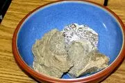 با استفر اغ این حیوان گرانترین عطرهای معروف را می سازند+ عکس