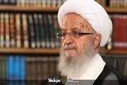 آیت الله مکارم شیرازی: مدّعیان حقوق بشر در برابر چنین جنایت وحشیانه‌ای سکوت کرده‌اند