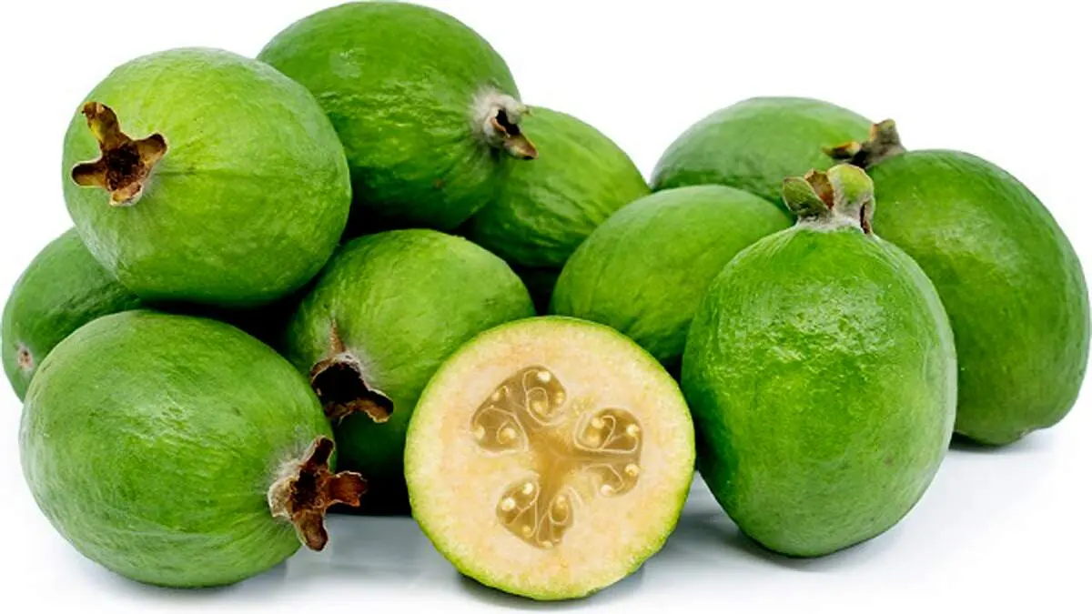 این میوه انبار ویتامین ث است/ از مقابله با عفونت تا تنظیم فشار خون
