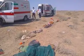 واژگونی وانت های حامل اتباع بیگانه/ 60 کشته و زخمی + عکس