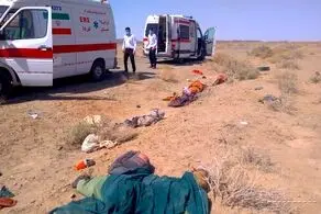 واژگونی وانت های حامل اتباع بیگانه/ 60 کشته و زخمی + عکس