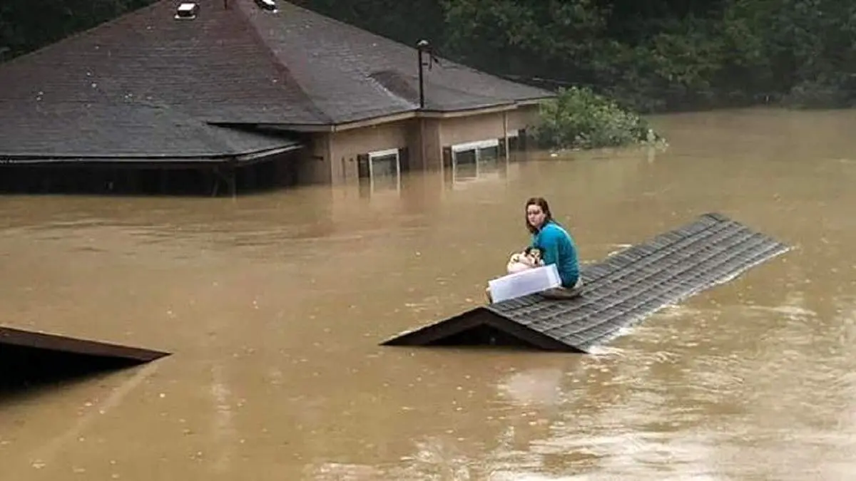 لحظه نجات راننده گرفتار در سیل توسط بالگرد امداد+ فیلم