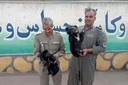 کشف دو توله خرس از یک اتوبوس مسافربری/ عکس