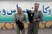 کشف دو توله خرس از یک اتوبوس مسافربری/ عکس