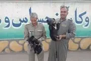 کشف دو توله خرس از یک اتوبوس مسافربری/ عکس