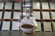 جنجال تبدیل جسد انسان به کود به جای خاکسپاری!