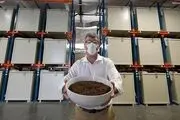 جنجال تبدیل جسد انسان به کود به جای خاکسپاری!