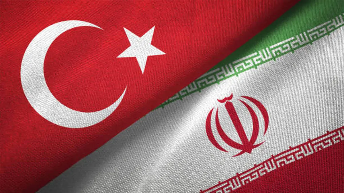 معصومه طاهری که در ترکیه بازداشت شد کیست؟