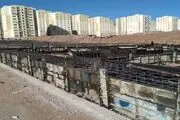 خبر خوش برای کارگران/ منتظر مسکن کارگری باشید