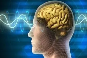 مغز این مرد هر 6 ساعت یکبار به حالت اولیه بر می‌گردد!