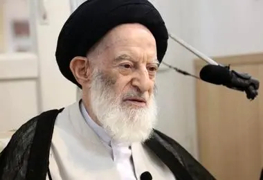 دیدار رئیس دفتر رئیس‌جمهور با آیت‌الله‌ شبیری زنجانی
