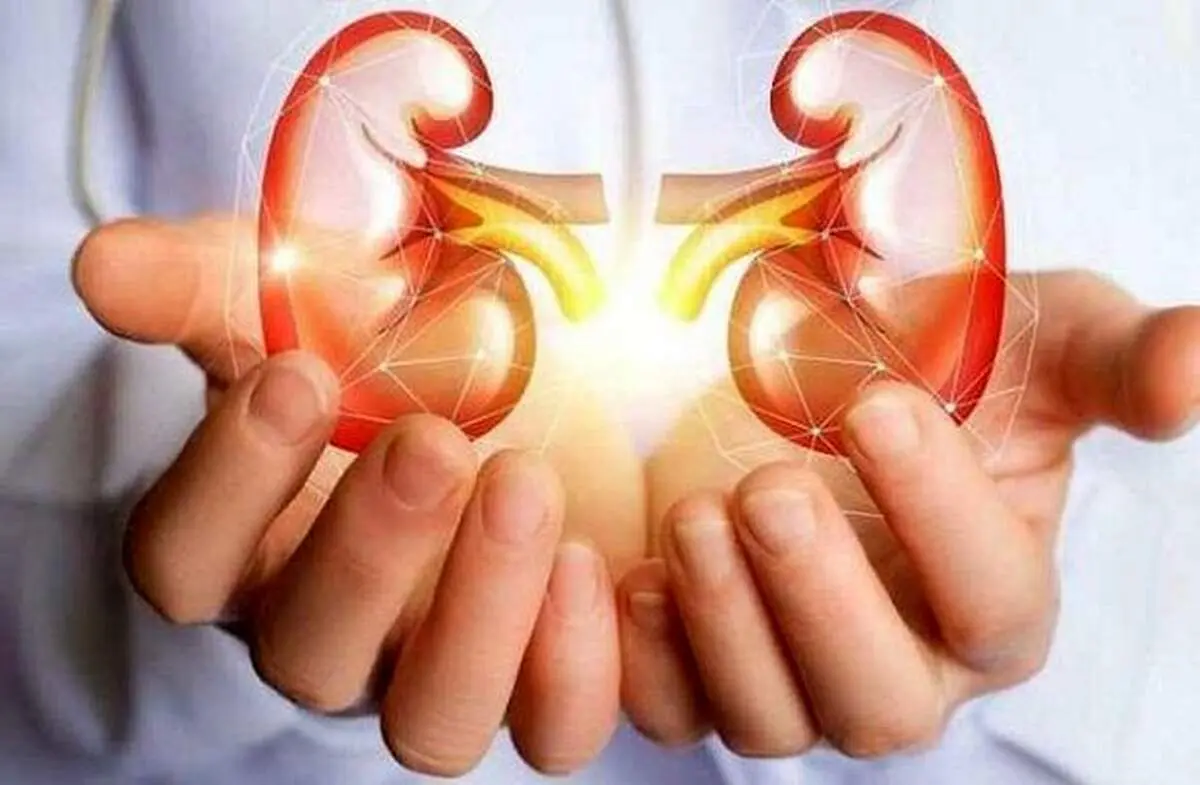 دلیل کوچک شدن کلیه‌ها چیست؟