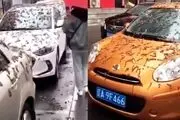 بارش چندش آور کرم از آسمان!+فیلم