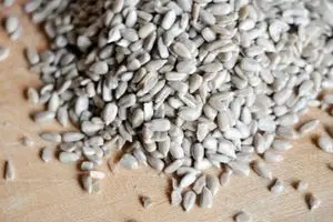 خواص شگفت ‌انگیز مغز تخمه آفتابگردان برای سلامت بدن و زیبایی پوست و مو