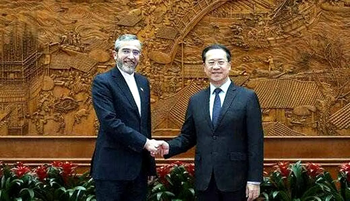 رایزنی برجامی باقری کنی با همتای چینی 