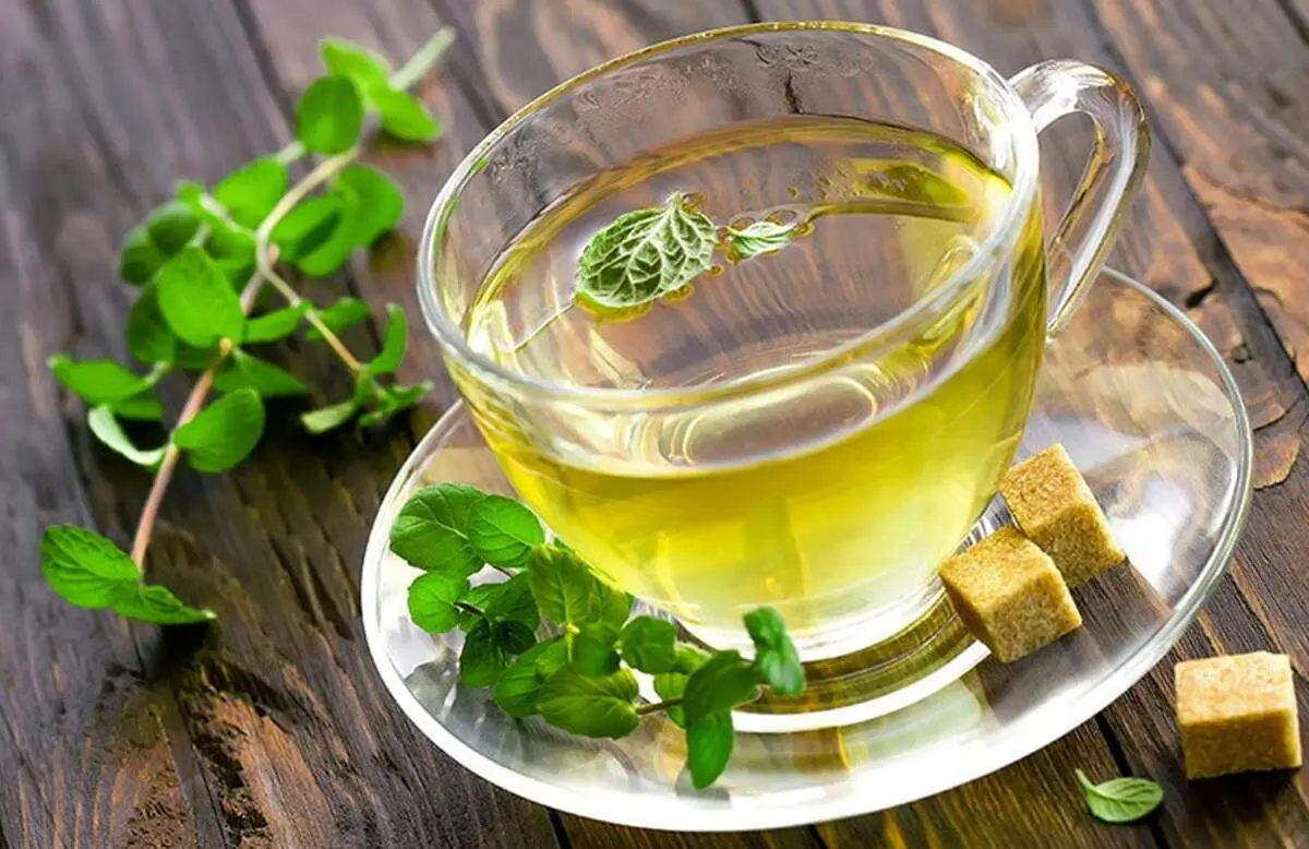 چای سبز به عضو حیاتی بدن آسیب می‌زند!