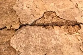 زمین‌لرزه مهیب دیگری گناوه را لرزاند+جزییات