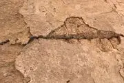 زمین‌لرزه مهیب دیگری گناوه را لرزاند+جزییات