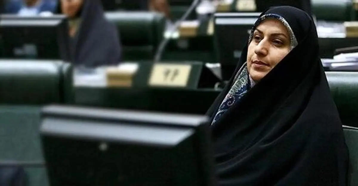 نمی‌توانیم یک نماینده را از مجلس اخراج کنیم/ پرونده بانکی‌ پور باید در جای دیگر بررسی شود/ اطلاعی درباره طرح عفاف و حجاب ندارم